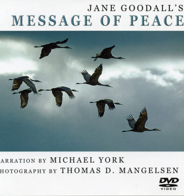 Jane Goodall's Message of Peace CD & DVD