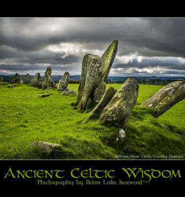 Ancient Celtic Wisdom Poster