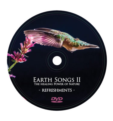 Earth Songs II - DVD