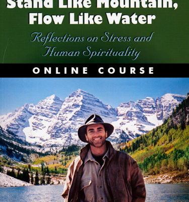 Stand Like Mountain, Flow Like Water - Online Course