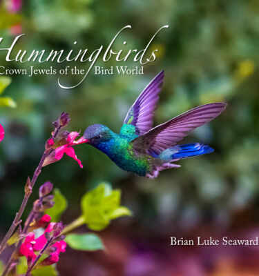 Hummingbirds: Crown Jewels of the Bird World (E-Book)