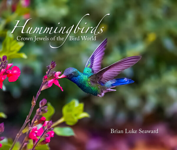 Hummingbirds: Crown Jewels of the Bird World (E-Book)