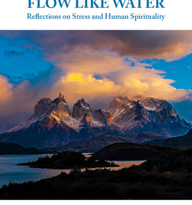 Stand Like Mountain, Flow Like Water (Re-issue of the 10th anniversary edition)